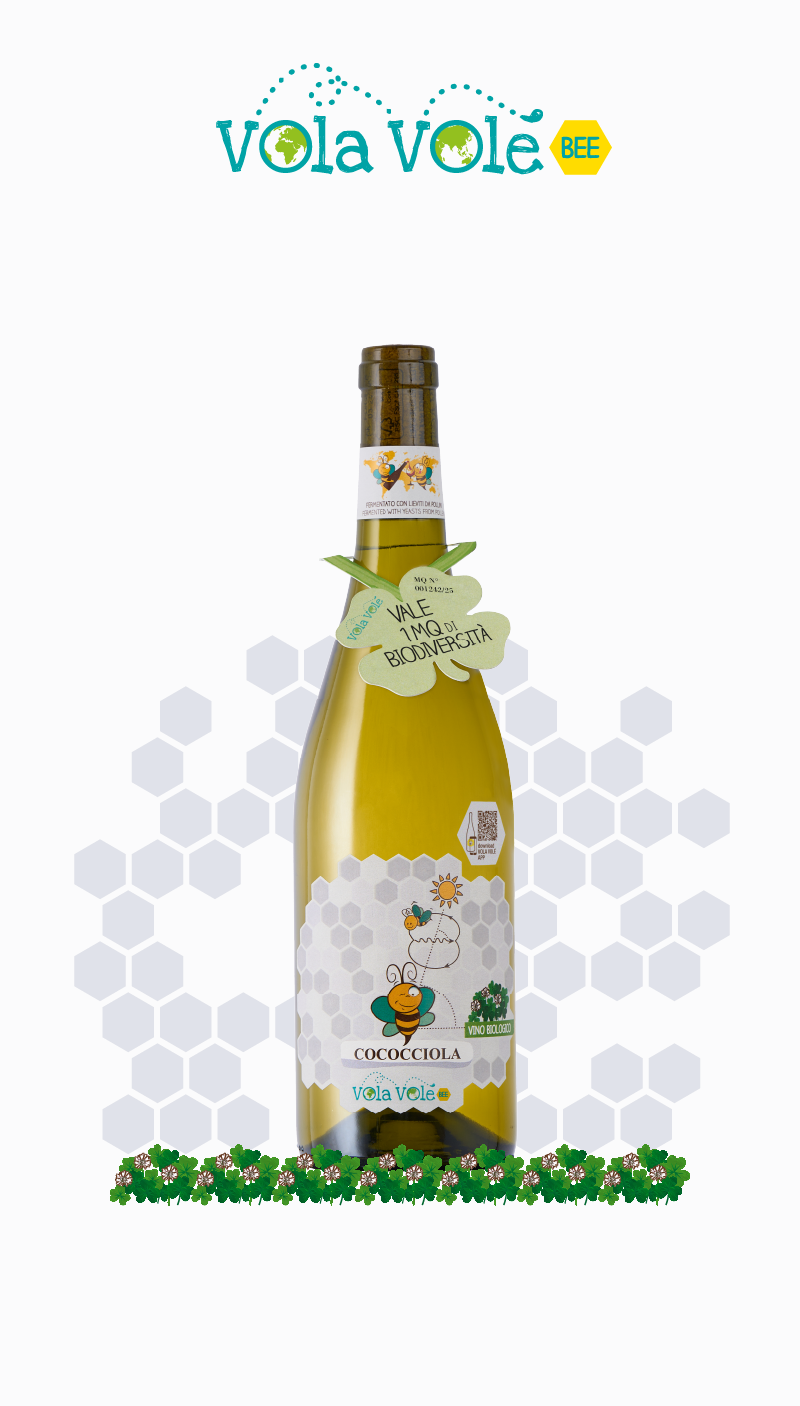 Vola Volé BEE<br> Cococciola