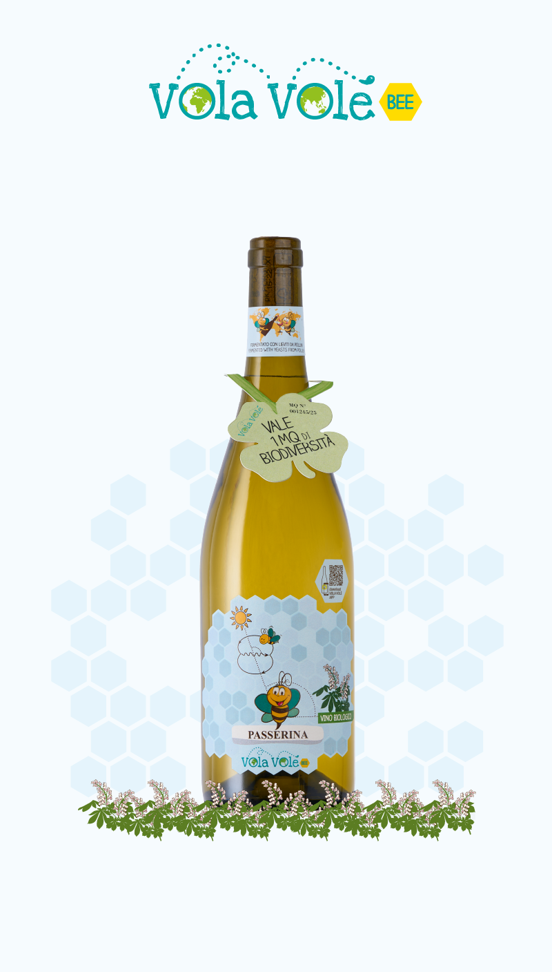 Vola Volé BEE<br> Passerina