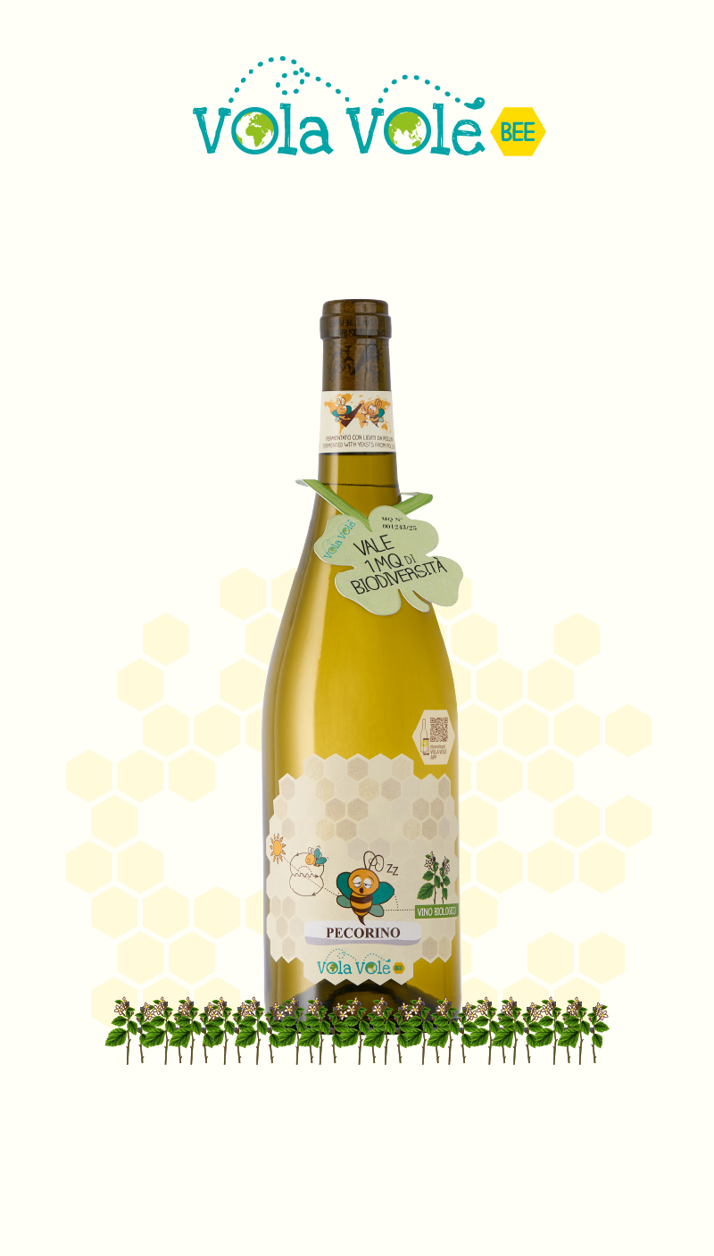 Vola Volé BEE<br> Pecorino