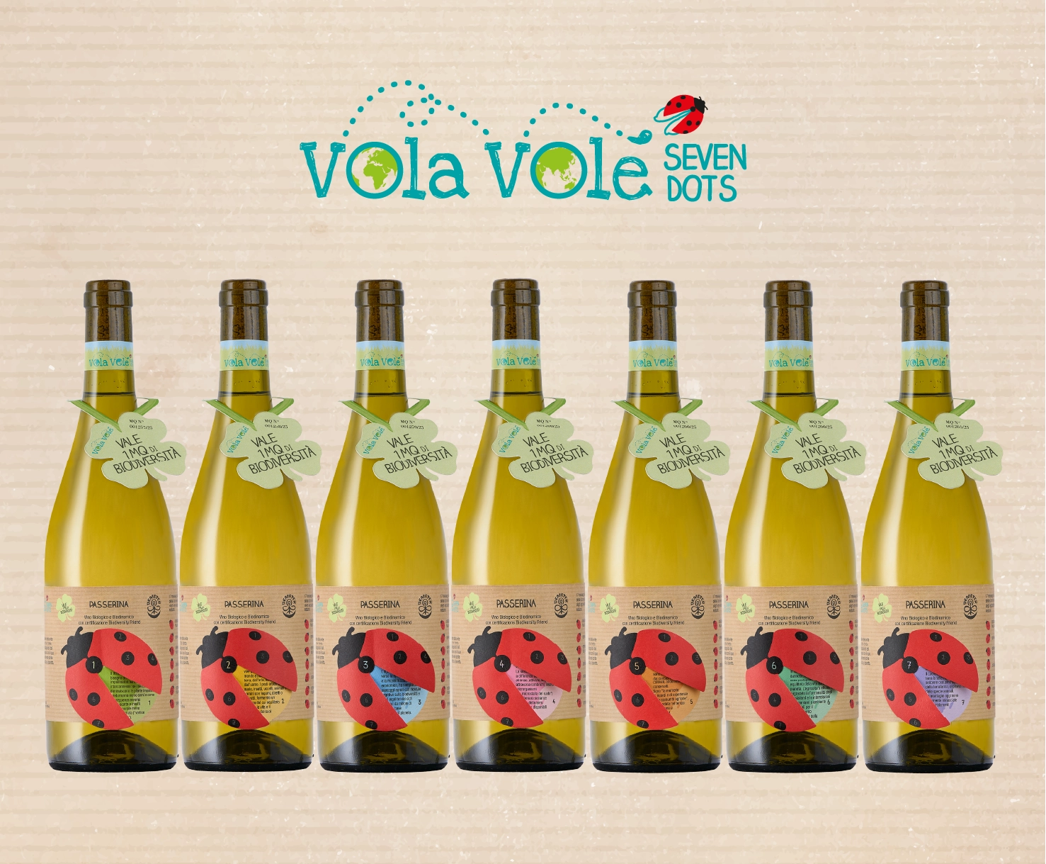 Vola Volé Seven Dots <br>Passerina