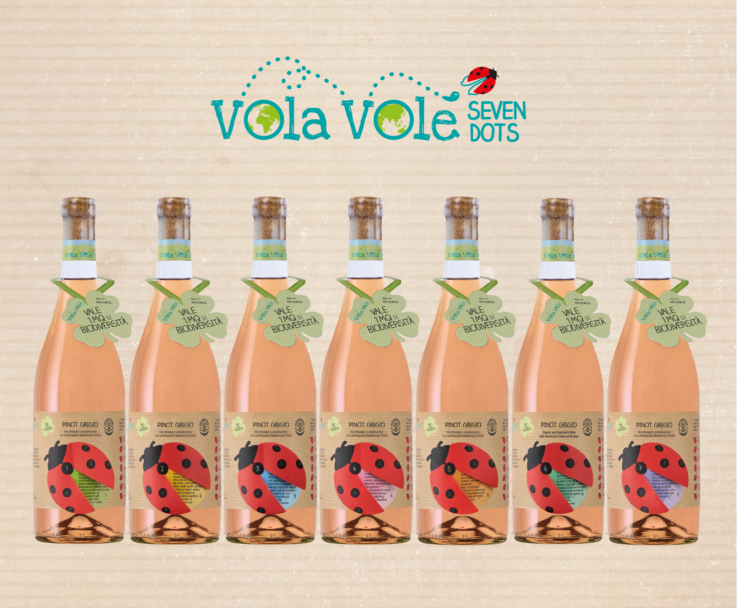 Vola Volé Seven Dots <br>Pinot Grigio
